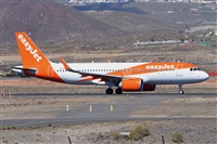 Miguel A. gueda Rguez.  (CANARY ISLANDS SPOTTING). Click to see full size photo