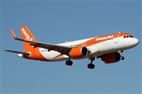 Alfonso Sols - Asociacin Canary Islands Spotting. Haz click para ampliar