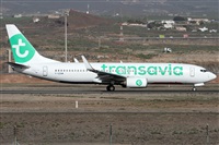 Alfonso Sols - Asociacin Canary Islands Spotting. Click to see full size photo
