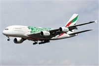Alfonso Sols - Asociacin Canary Islands Spotting. Haz click para ampliar