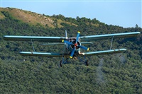 Tams. Click to see full size photo