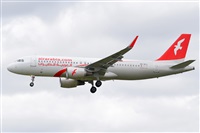 Miguel A. gueda Rguez.  (CANARY ISLANDS SPOTTING). Haz click para ampliar
