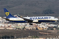 ©Adolfo Bento - Gran Canaria Spotters. Click to see full size photo ©Adolfo Bento - Gran Canaria Spotters. Click to see full size photo