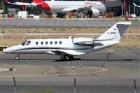 ©Alfonso Solís - Asociación Canary Islands Spotting. Click to see full size photo ©Alfonso Solís - Asociación Canary Islands Spotting. Click to see full size photo