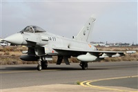 Alfonso Sols - Asociacin Canary Islands Spotting. Click to see full size photo