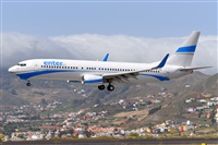 Miguel A. gueda Rguez.  (CANARY ISLANDS SPOTTING). Click to see full size photo