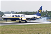 Miguel A. gueda Rguez.  (CANARY ISLANDS SPOTTING). Click to see full size photo