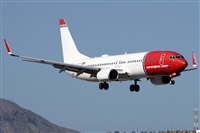 Alfonso Sols - Asociacin Canary Islands Spotting. Click to see full size photo