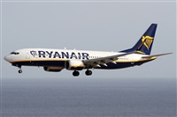 Alfonso Sols - Asociacin Canary Islands Spotting. Haz click para ampliar