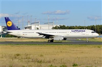 Miguel A. gueda Rguez.  (CANARY ISLANDS SPOTTING). Click to see full size photo