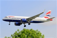 Miguel A. gueda Rguez.  (CANARY ISLANDS SPOTTING). Click to see full size photo