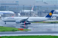 Miguel A. gueda Rguez.  (CANARY ISLANDS SPOTTING). Click to see full size photo