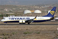 Alfonso Sols - Asociacin Canary Islands Spotting. Click to see full size photo