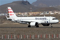 ©Alfonso Solís - Asociación Canary Islands Spotting. Click to see full size photo ©Alfonso Solís - Asociación Canary Islands Spotting. Click to see full size photo