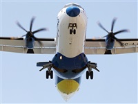 Adrin Alonso Lemes - Lanzarote Spotters. Click to see full size photo