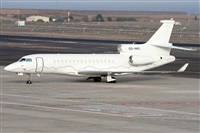 ©Alfonso Solís - Asociación Canary Islands Spotting. Click to see full size photo ©Alfonso Solís - Asociación Canary Islands Spotting. Click to see full size photo