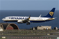 ©Adolfo Bento - Gran Canaria Spotters. Click to see full size photo ©Adolfo Bento - Gran Canaria Spotters. Click to see full size photo