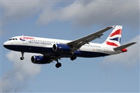 �Alfonso Sol�s - Asociaci�n Canary Islands Spotting. Click to see full size photo