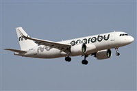 �Alfonso Sol�s - Asociaci�n Canary Islands Spotting. Click to see full size photo