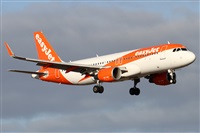 �Alfonso Sol�s - Asociaci�n Canary Islands Spotting. Click to see full size photo
