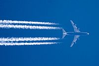 Sergio Morchn - Spotters Alliance. Click to see full size photo