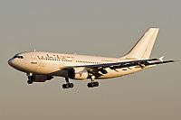 Javier de la Cruz - CANARY ISLANDS SPOTTING. Click to see full size photo