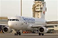 Javier de la Cruz - CANARY ISLANDS SPOTTING. Haz click para ampliar