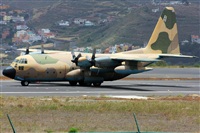 Ayoze Santana Mendez - Canary Islands Spotting. Click to see full size photo