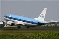 Jos Miguel Bernases - Noisy Spotters. Click to see full size photo