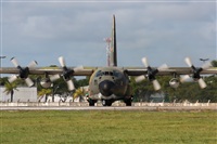 Rodrigo Carvalho - Noisy Spotters. Click to see full size photo