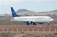 Miguel A. gueda Rguez.  (CANARY ISLANDS SPOTTING). Haz click para ampliar