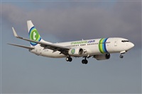 Alfonso Sols - Asociacin Canary Islands Spotting. Click to see full size photo