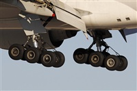 Jos Miguel Bernases - Noisy Spotters. Click to see full size photo