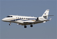 Jos Miguel Bernases - Noisy Spotters. Click to see full size photo