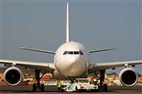 Javier de la Cruz - CANARY ISLANDS SPOTTING. Haz click para ampliar