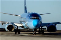 Miguel A. gueda Rguez.  (CANARY ISLANDS SPOTTING). Click to see full size photo