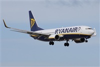 Alfonso Sols - Asociacin Canary Islands Spotting. Haz click para ampliar