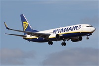 Alfonso Sols - Asociacin Canary Islands Spotting. Click to see full size photo