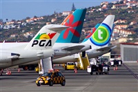 Domingos Patena. Click to see full size photo