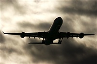 Adrin Alonso Lemes - Lanzarote Spotters. Click to see full size photo