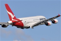 Rubn Gil - Noisy Spotters. Click to see full size photo