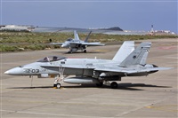 Antonio Zamora - La Mancha Spotters. Click to see full size photo