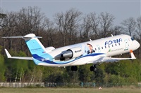 Rubn Gil - Noisy Spotters. Click to see full size photo