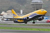 Miguel A. gueda Rguez.  (CANARY ISLANDS SPOTTING). Haz click para ampliar