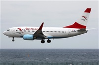 Adrin Alonso Lemes - Lanzarote Spotters. Haz click para ampliar