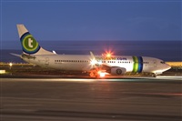 Javier de la Cruz - CANARY ISLANDS SPOTTING. Click to see full size photo