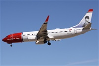 ©Alfonso Solís - Asociación Canary Islands Spotting. Click to see full size photo ©Alfonso Solís - Asociación Canary Islands Spotting. Click to see full size photo