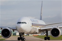 Javier de la Cruz - CANARY ISLANDS SPOTTING. Click to see full size photo