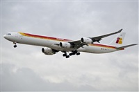 Naoto Goto - South American Spotters Asu-Py. Click to see full size photo