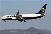 Rubn Gil - Noisy Spotters. Click to see full size photo